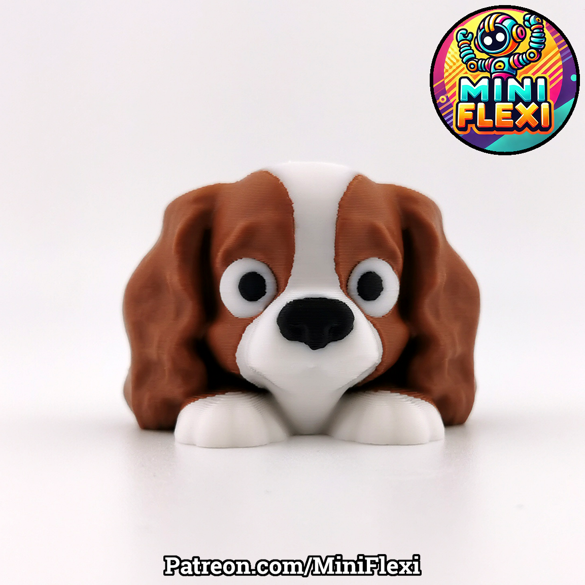 Cavalier King Charles Spaniel Picture 3